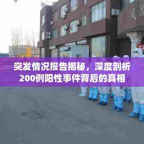 突发情况报告揭秘，深度剖析200例阳性事件背后的真相