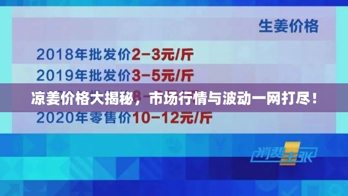 凉姜价格大揭秘，市场行情与波动一网打尽！