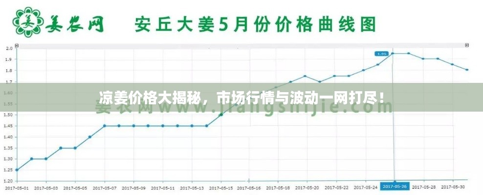 凉姜价格大揭秘,市场行情与波动一网打尽!