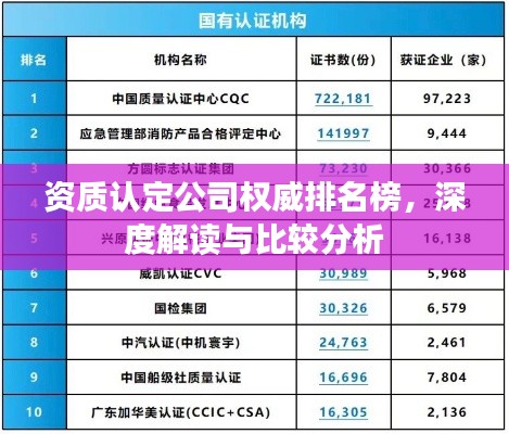 资质认定公司权威排名榜，深度解读与比较分析