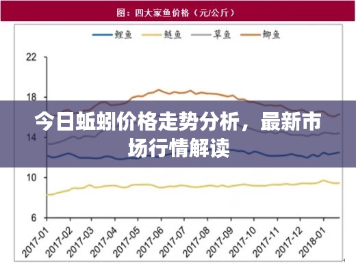 今日蚯蚓价格走势分析,最新市场行情解读