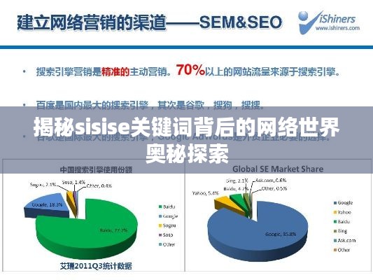 揭秘sisise关键词背后的网络世界奥秘探索