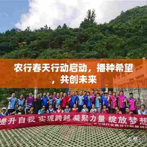 农行春天行动启动，播种希望，共创未来