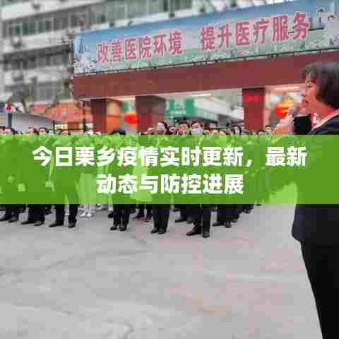 今日栗乡疫情实时更新，最新动态与防控进展