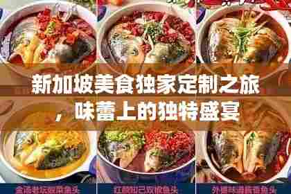 新加坡美食独家定制之旅,味蕾上的独特盛宴