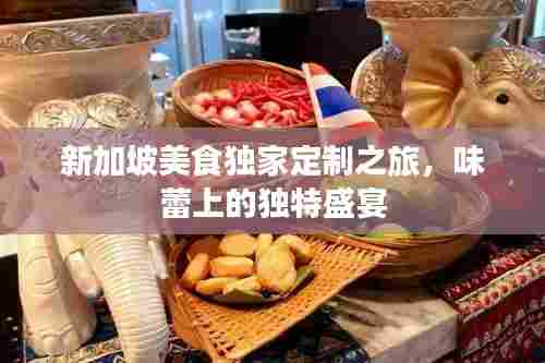 新加坡美食独家定制之旅,味蕾上的独特盛宴