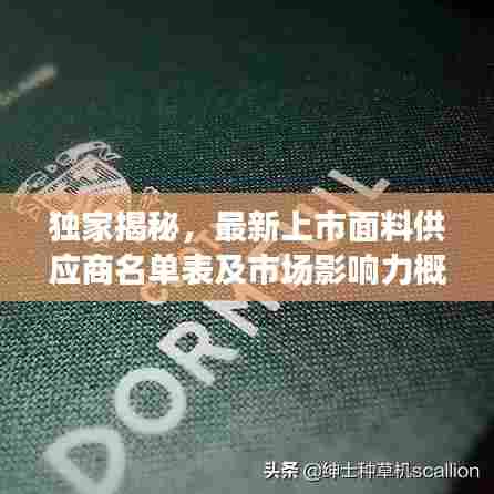 独家揭秘,最新上市面料供应商名单表及市场影响力概览