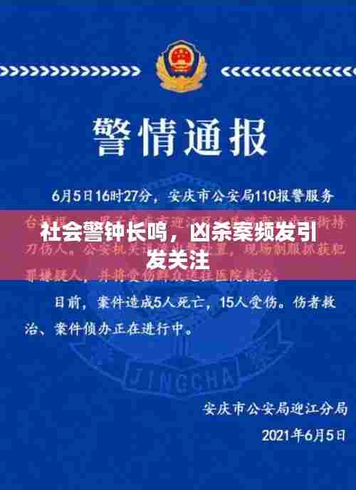 社会警钟长鸣,凶杀案频发引发关注
