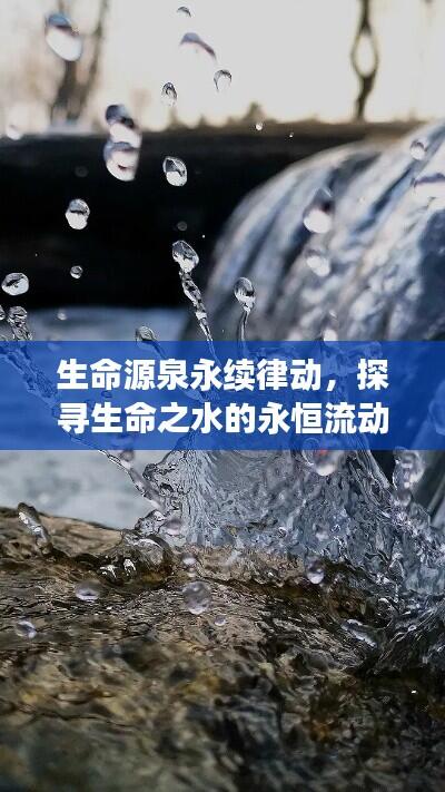 生命源泉永续律动,探寻生命之水的永恒流动