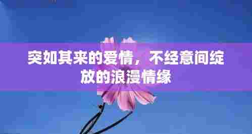 螓首蛾眉 第6页