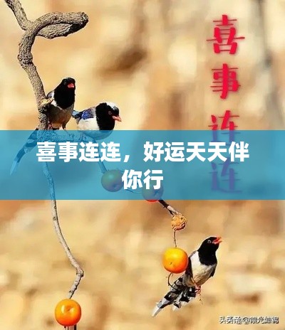 喜事连连,好运天天伴你行