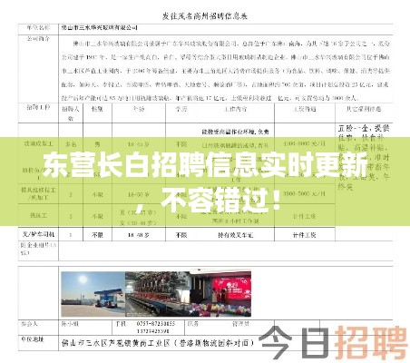 东营长白招聘信息实时更新,不容错过!