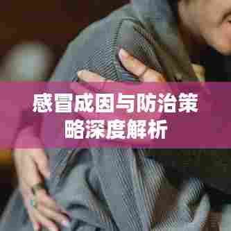 感冒成因与防治策略深度解析