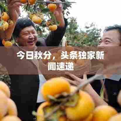 今日秋分,头条独家新闻速递