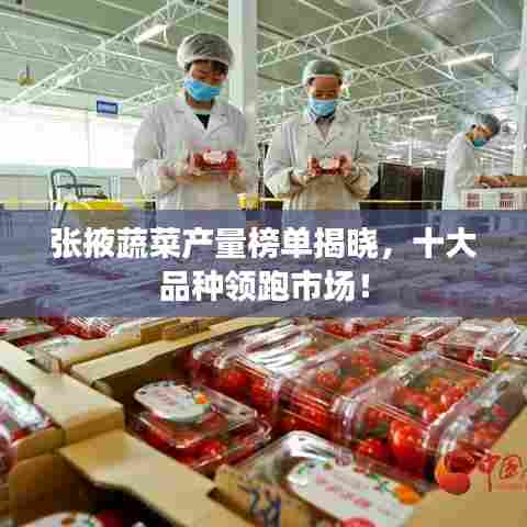 张掖蔬菜产量榜单揭晓,十大品种领跑市场!