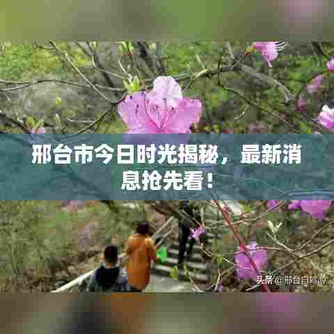 物以稀为贵 第5页