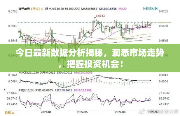 今日最新数据分析揭秘,洞悉市场走势,把握投资机会!