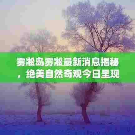 雾凇岛雾凇最新消息揭秘,绝美自然奇观今日呈现!