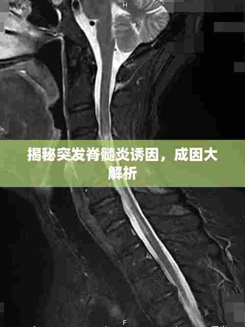 炊粱跨卫 第6页