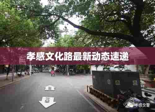 孝感文化路最新动态速递