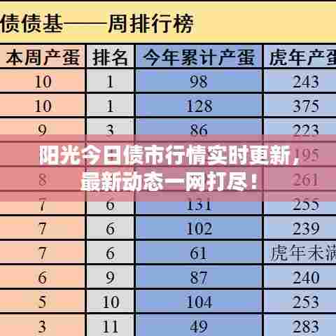 阳光今日债市行情实时更新,最新动态一网打尽!