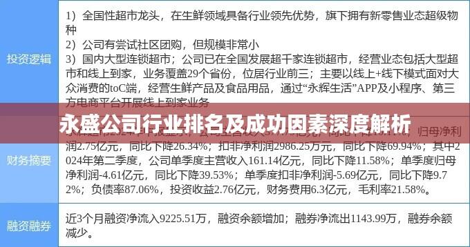 永盛公司行业排名及成功因素深度解析