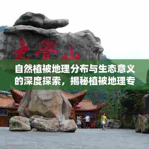 自然植被地理分布与生态意义的深度探索,揭秘植被地理专题的魅力