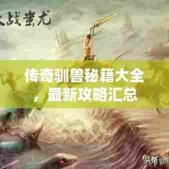 传奇驯兽秘籍大全，最新攻略汇总