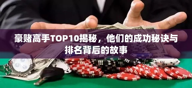 豪赌高手TOP10揭秘,他们的成功秘诀与排名背后的故事