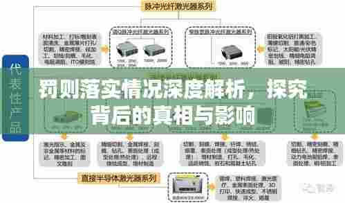 罚则落实情况深度解析,探究背后的真相与影响