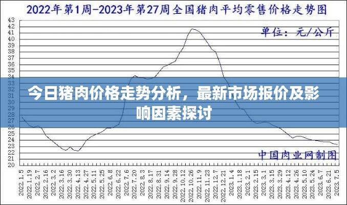 今日猪肉价格走势分析,最新市场报价及影响因素探讨