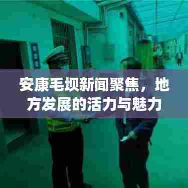 安康毛坝新闻聚焦，地方发展的活力与魅力展现