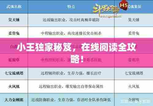 小王独家秘笈,在线阅读全攻略!