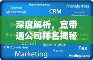 深度解析,宽带通公司排名揭秘