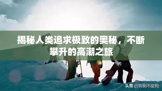 揭秘人类追求极致的奥秘，不断攀升的高潮之旅