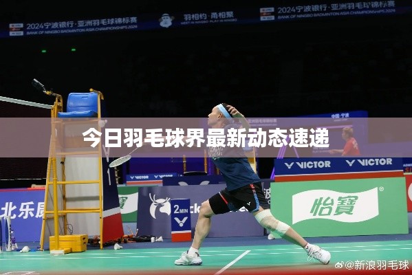 今日羽毛球界最新动态速递