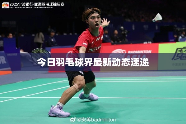 今日羽毛球界最新动态速递