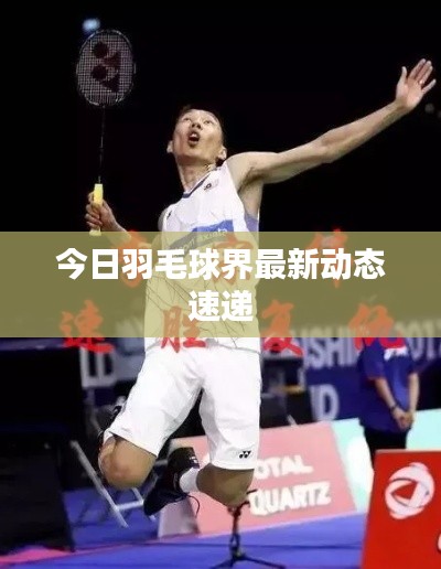 今日羽毛球界最新动态速递