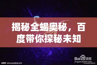 揭秘全蝎奥秘，百度带你探秘未知世界