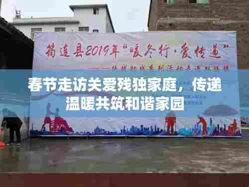 春节走访关爱残独家庭，传递温暖共筑和谐家园