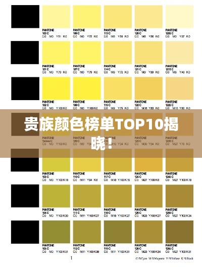 贵族颜色榜单TOP10揭晓!
