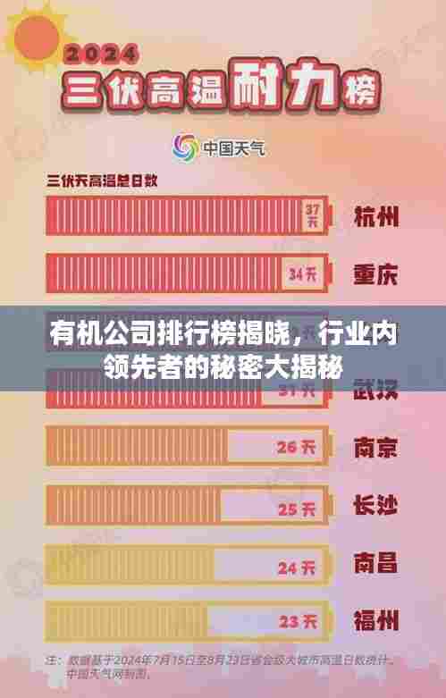 有机公司排行榜揭晓,行业内领先者的秘密大揭秘