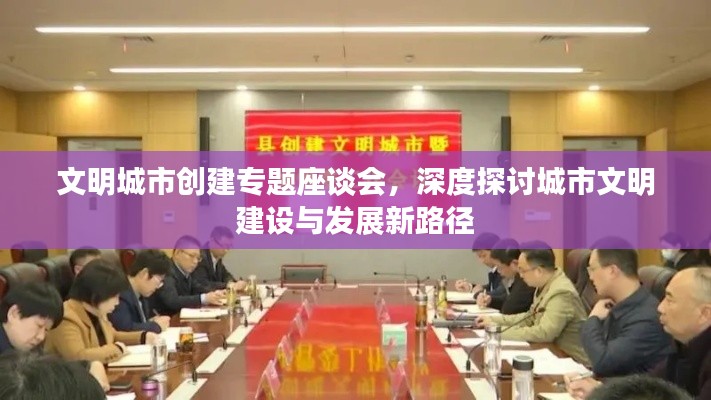 文明城市创建专题座谈会,深度探讨城市文明建设与发展新路径