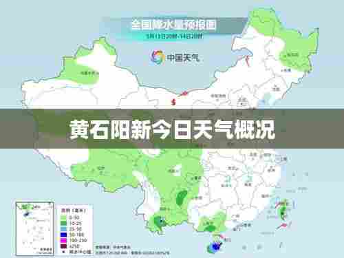 黄石阳新今日天气概况