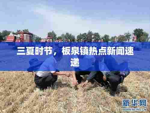 三夏时节,板泉镇热点新闻速递