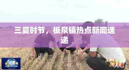 三夏时节,板泉镇热点新闻速递