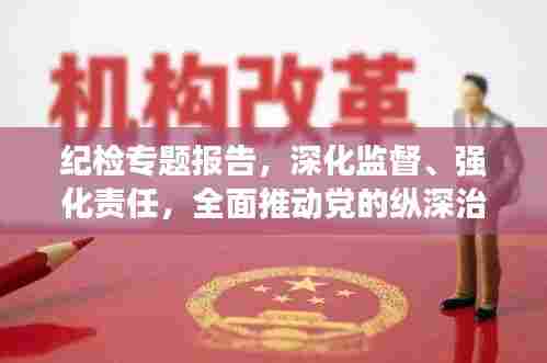 纪检专题报告,深化监督、强化责任,全面推动党的纵深治理之路