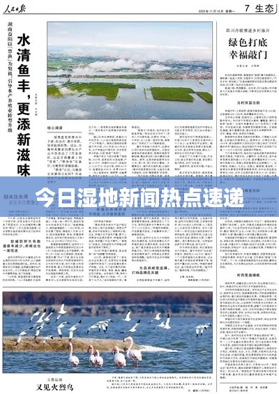 今日湿地新闻热点速递