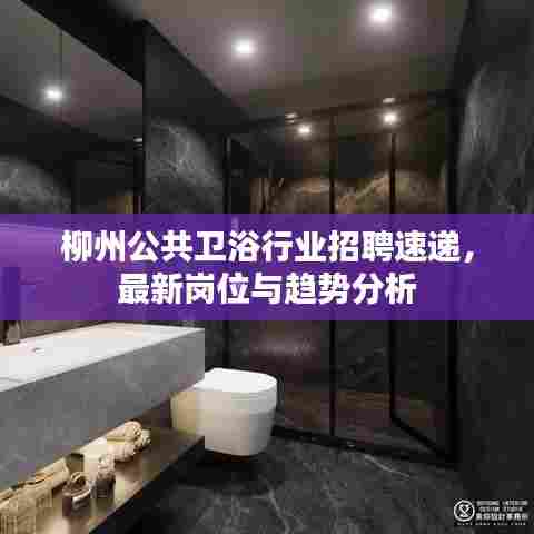 柳州公共卫浴行业招聘速递，最新岗位与趋势分析