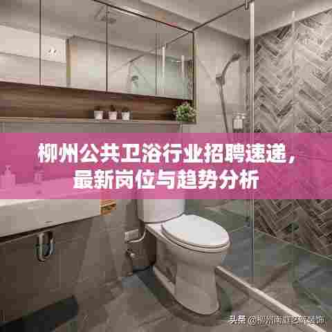 柳州公共卫浴行业招聘速递,最新岗位与趋势分析